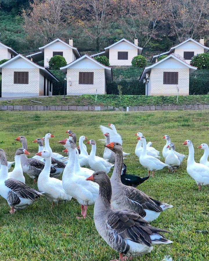 Pousada Parque Das Pitangueiras Flores da Cunha Exterior foto